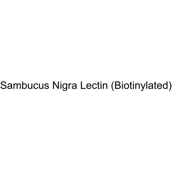 Sambucus Nigra Lectin (Biotinylated)